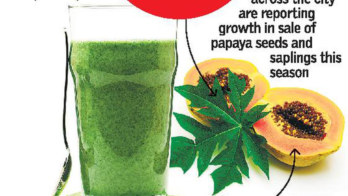 Papaya leaves benefits outlet for dengue